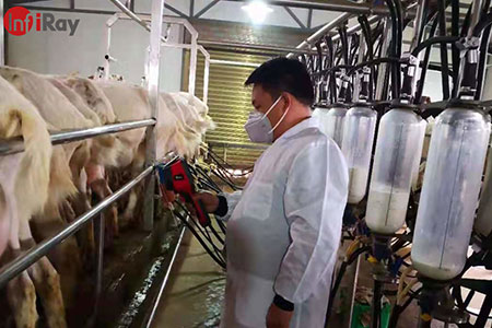 Применение тепловизионных камер в молочной промышленности: оперативно обнаружить заболевания у молочных коров и коз