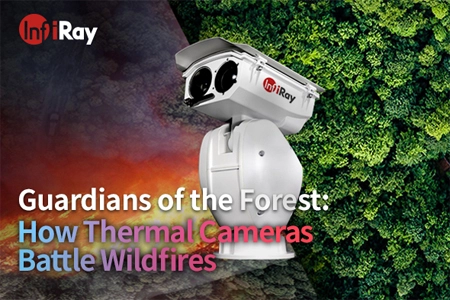 Стражи леса: как тепловые камеры сражаются с лесными пожарами