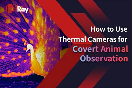 Как использовать тепловизионные камеры для скрытого наблюдения за животными