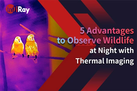 5 преимуществ наблюдения за дикой природой ночью с помощью тепловизионного изображения