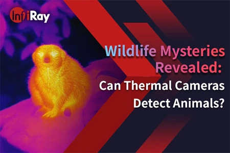 Раскрыты тайны дикой природы: могут ли тепловые камеры обнаруживать животных?