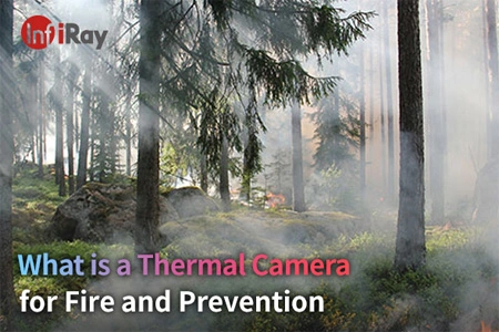 Что такое тепловизионная камера для предотвращения пожара и профилактики?